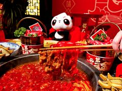 -蜀大侠火锅(总府路店)