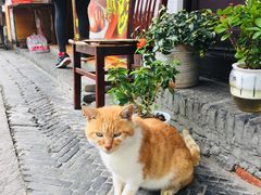 -福满楼(锦溪古镇店)