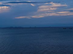 -养马岛旅游度假区