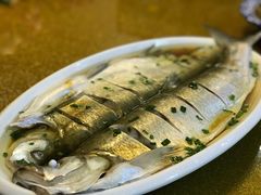 -呼吸森林·生态农庄农家乐私房菜