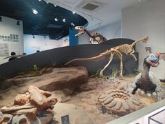 -自贡恐龙博物馆