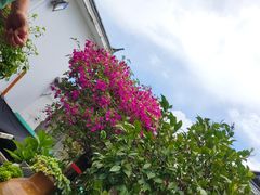 -瑞丰园庭院餐厅·白族传统家常菜