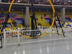 -天空之城蹦床攀岩运动馆·团建拓展·亲子游乐·生日派对(合肥店)