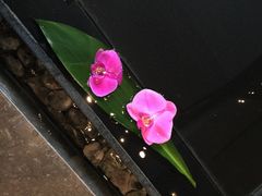 金陵饭店-南京金陵饭店