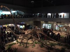 -自贡恐龙博物馆