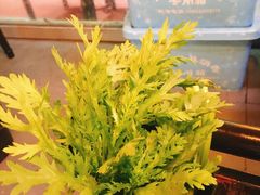 茼蒿-潮汕鲜牛肉火锅(化工路店)