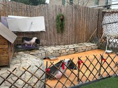 -HERRE·FARM 赫尔露营农场·团建聚会包场