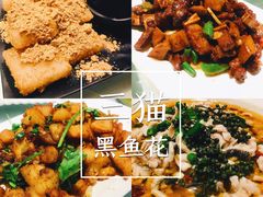 -三猫黑鱼花(南大店)