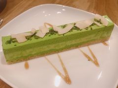 -柴务处·柴犬主题狗咖