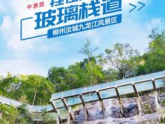 -九龙江国家森林公园