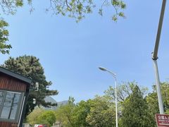 -北京鹫峰国家森林公园