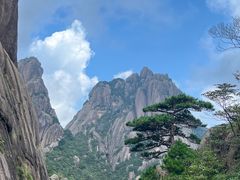 -黄山风景区