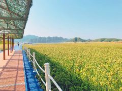 景点-易水湖景区