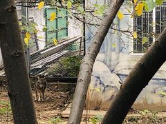 -无锡动物园·太湖欢乐园