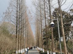 -昆山城市生态森林公园