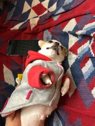 -椿树下·Tattoo纹身工作室