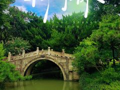 -上海醉白池公园