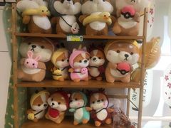 -柴迷FANS CLUB·柴犬狗咖·猫咖