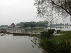 -洪湖生态旅游区