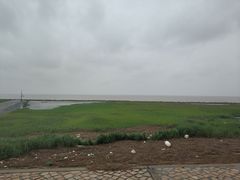 -南汇嘴观海公园