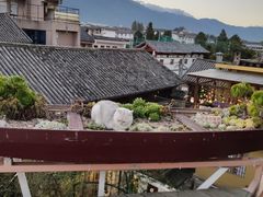 -喵屿·大理花园猫咖