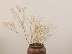 -宥莉·ULLY 痘敏肌•科技皮肤管理中心