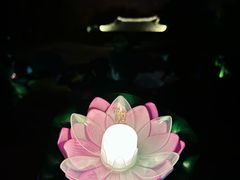 -印象普陀