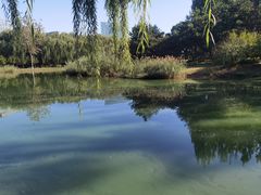 -大兴滨河森林公园