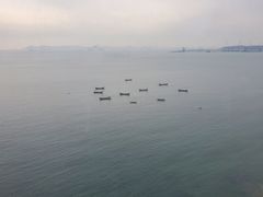 -渔公码头·九龙湾国际饭店