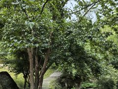 -苍龙峡风景区