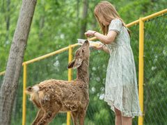 -合肥滨湖国家森林公园