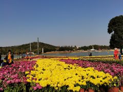 -上海月湖雕塑公园