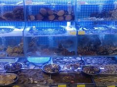 -77号渔船·蒸海鲜青岛菜(积米崖店)