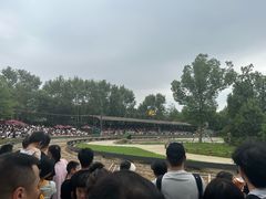 -上海野生动物园老虎餐厅