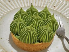 抹茶挞-猫里有甜