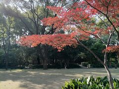 -上海市龙华烈士陵园