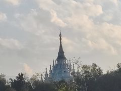 -瑞丽活螃蟹(芒市店)