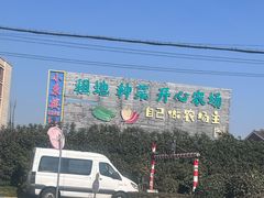 -喜杨洋草莓采摘园