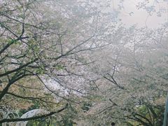 -杭州少年儿童公园