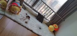 点击看大图 -雪奈传统美甲美睫