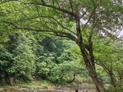 -水墨汀溪风景区
