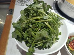 潮汕西洋菜-汕头八合里海记牛肉店(清河店)