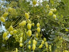 -南京市无想山景区