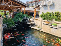 -顺德了能馆(虎门店)