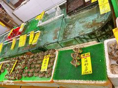 水产区-鸿达渔港