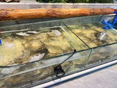 -川骄海鲜自助(河东店)