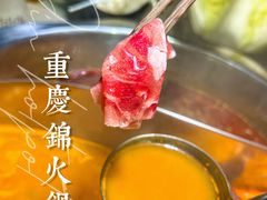 糕羊肉-重庆锦火锅(惠福东路店)