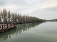 -钟祥王府大酒店