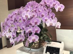 -TSK齿科德申会口腔门诊·联洋诊所