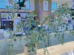 -茉莉奶白(广州动漫星城店)
